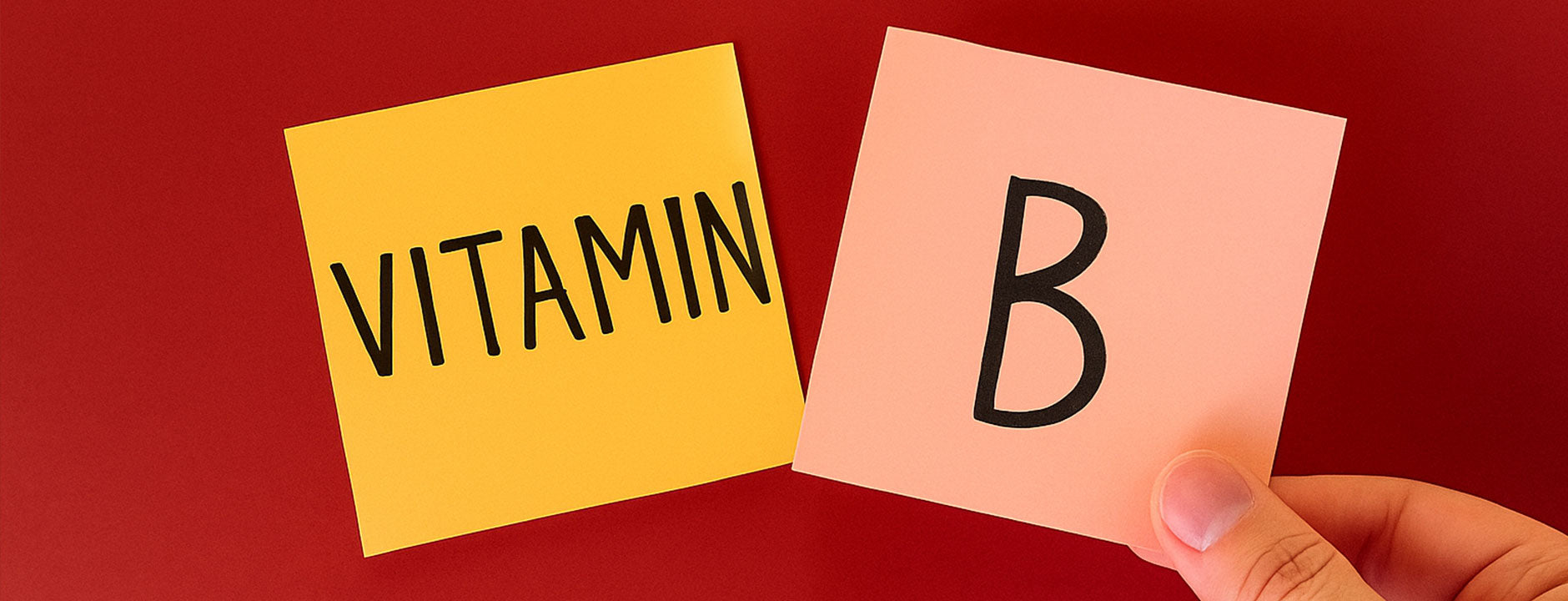 vitamin b6 supplement