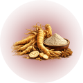 Panax Ginseng