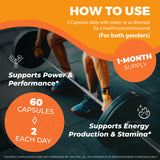 muscle building supplements