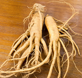 Panax Ginseng  Ext