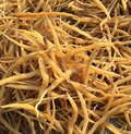 Asparagus Racemosus Extract